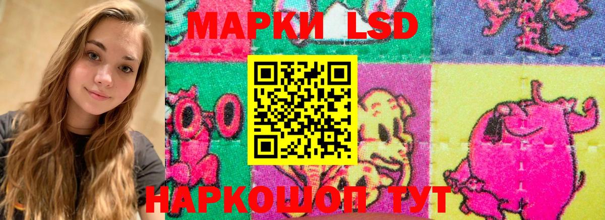 Лсд 25 экстази ecstasy  Вход с VPN  Ачхой-Мартан  ЛСД экстази ecstasy 