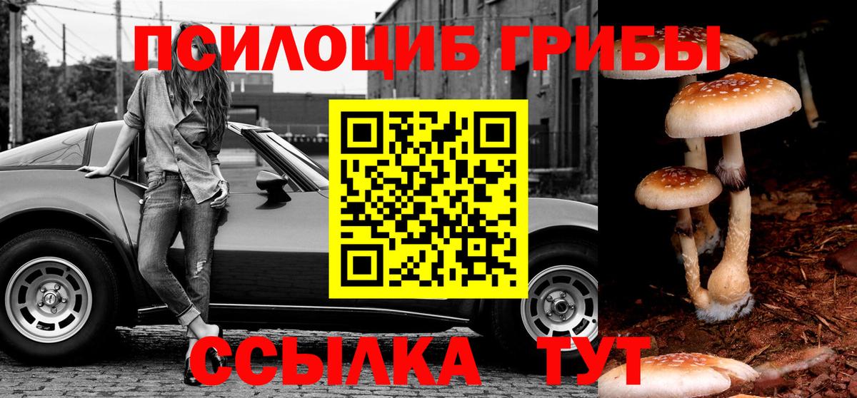 Ачхой-Мартан  Галлюциногенные грибы мухоморы  Вход с VPN  Псилоцибиновые грибы мухоморы 