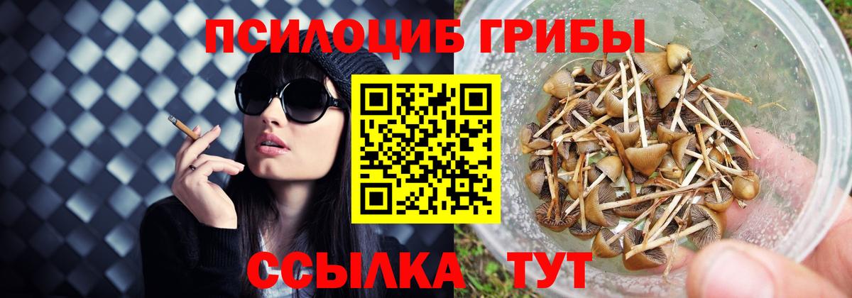 Псилоцибиновые грибы ЛСД Ачхой-Мартан